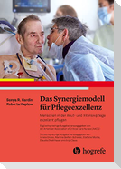 Das Synergiemodell für Pflegeexzellenz