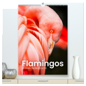 Flamingos in rosa Federpracht. (hochwertiger Premium Wandkalender 2025 DIN A2 hoch), Kunstdruck in Hochglanz