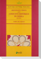 Arqueología en el conjunto histórico de Niebla (Huelva) : carta de riesgo