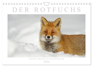 Breuer, Michael. Der Rotfuchs (Wandkalender 2024 DIN A4 quer), CALVENDO Monatskalender - Einzigartige Fotos des schlauen Wildtiers. Calvendo, 2023.