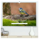 SINGVÖGEL - Die prächtigen Sänger in schönem Ambiente (hochwertiger Premium Wandkalender 2024 DIN A2 quer), Kunstdruck in Hochglanz