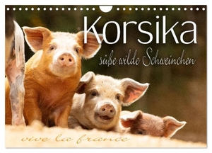 Schöb, Monika. Korsika - süße, wilde Schweinchen (Wandkalender 2024 DIN A4 quer), CALVENDO Monatskalender - Süße, wilde Schweinchen auf Korsika. Calvendo, 2023.