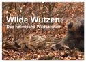 Wilde Wutzen. Das heimische Wildschwein (Wandkalender 2024 DIN A2 quer), CALVENDO Monatskalender