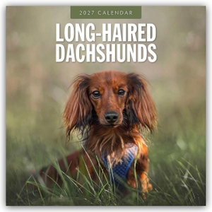 Red, Robin. Long-Haired Dachshunds - Langhaardackel 2027 - 16-Monatskalender - Original Red Robin Publishing Ltd-Kalender [Mehrsprachig] [Kalender]. Browntrout Verlags GmbH, 2026.