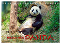 Niedlicher Panda (Tischkalender 2024 DIN A5 quer), CALVENDO Monatskalender