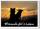 Hunde - Freunde für's Leben (Tischkalender 2024 DIN A5 quer), CALVENDO Monatskalender