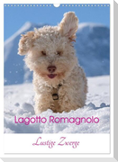 Lagotto Romagnolo - Lustige Zwerge (Wandkalender 2024 DIN A3 hoch), CALVENDO Monatskalender