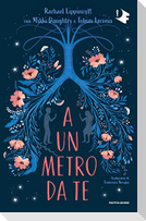 A un metro da te
