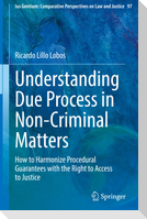 Understanding Due Process in Non-Criminal Matters