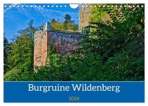Kreuzer, Siegfried. Burg Wildenberg (Wandkalender 2024 DIN A4 quer), CALVENDO Monatskalender - Eine geschichtstärchtige Burgruine aus der Zeit der Stauferkaiser. Calvendo, 2023.