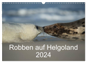 Robben auf Helgoland 2024 (Wandkalender 2024 DIN A3 quer), CALVENDO Monatskalender