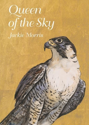 Morris, Jackie. Queen of the Sky. Graffeg Limited, 2024.