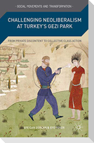 Challenging Neoliberalism at Turkey¿s Gezi Park