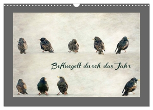 Hultsch, Heike. Beflügelt durch das Jahr (Wandkalender 2024 DIN A3 quer), CALVENDO Monatskalender - Vögel - fotografiert und künstlerisch dargestellt. Calvendo Verlag, 2023.