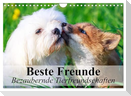 Beste Freunde - Bezaubernde Tierfreundschaften (Wandkalender 2025 DIN A4 quer), CALVENDO Monatskalender
