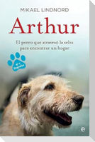 Arthur : el perro que atravesó la jungla para encontrar un hogar