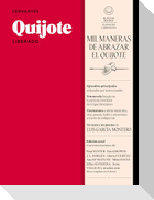 Quijote Liberado / Quixote