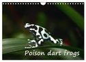 Poison dart frogs / UK-Version / Birthday Calendar (Wall Calendar 2025 DIN A4 landscape), CALVENDO 12 Month Wall Calendar