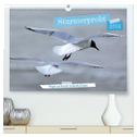 Sturmerprobt - Vögel an Nordfrieslands Küste (hochwertiger Premium Wandkalender 2024 DIN A2 quer), Kunstdruck in Hochglanz