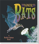 Endangered Bats