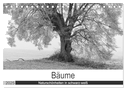 Bäume - Naturschönheiten in schwarz-weiß (Tischkalender 2025 DIN A5 quer), CALVENDO Monatskalender