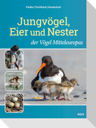 Jungvögel, Eier und Nester der Vögel Mitteleuropas
