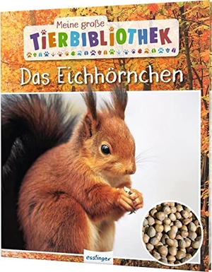 Ledu-Frattini, Stéphanie. Meine große Tierbibliothek: Das Eichhörnchen - Sachbuch für Vorschule & Grundschule. Esslinger Verlag, 2020.