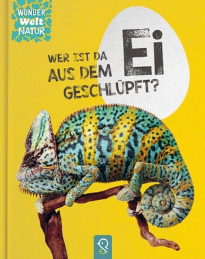 Kastenhuber, Bobby (Hrsg.). Wer ist da aus dem Ei geschlüpft?. klein & groß Verlag, 2021.