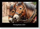 Pferdegeflüster 2024 Fotokalender DIN A3