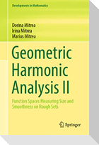 Geometric Harmonic Analysis II