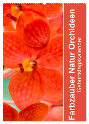 Paul - Babett's Bildergalerie, Babett. Farbzauber Natur Orchideen - Geburtstagskalender (Wandkalender 2024 DIN A2 hoch), CALVENDO Monatskalender - Orchideen in farbenfroher Blütenpracht. Calvendo, 2023.