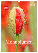 Mohnblumen-ein Traum in rot (Wandkalender 2024 DIN A3 hoch), CALVENDO Monatskalender