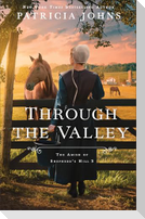 Through the Valley