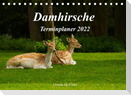 Damhirsche (Tischkalender 2022 DIN A5 quer)