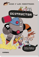 Destructor