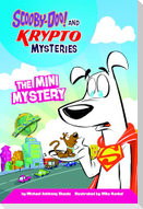 The Mini Mystery