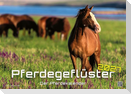 Pferdegeflüster - Der Pferdekalender - 2027 - Kalender DIN A3