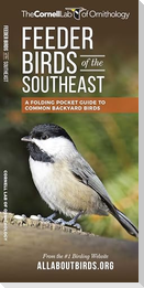 Feeder Birds of the Southeast