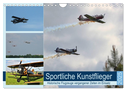 Sportliche Kunstflieger (Wandkalender 2025 DIN A4 quer), CALVENDO Monatskalender