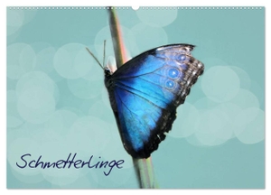 Hultsch, Heike. Schmetterlinge (Wandkalender 2024 DIN A2 quer), CALVENDO Monatskalender - Fliegende Edelsteine. Calvendo Verlag, 2023.