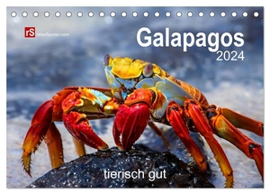Bergwitz, Uwe. Galapagos 2024 tierisch gut (Tischkalender 2024 DIN A5 quer), CALVENDO Monatskalender - Arche Noah im Pazifik. Calvendo, 2023.