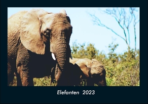 Tobias Becker. Elefanten  2023 Fotokalender DIN A4 - Monatskalender mit Bild-Motiven von Haustieren, Bauernhof, wilden Tieren und Raubtieren. Vero Kalender, 2022.
