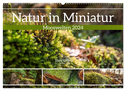 Natur in Miniatur - Mooswelten (Wandkalender 2024 DIN A2 quer), CALVENDO Monatskalender