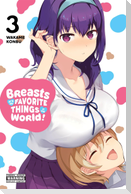 Breasts Are My Favorite Things in the World!, Vol. 3