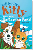 The Itty Bitty Kitty and the Mystery at Reflection Pond