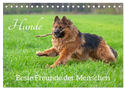 Hunde - Beste Freunde der Menschen (Tischkalender 2024 DIN A5 quer), CALVENDO Monatskalender