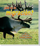 ¿Qué Es La Migración? (What Is Migration?)