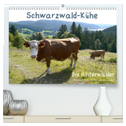 Schwarzwald-Kühe - Die Hinterwälder (hochwertiger Premium Wandkalender 2024 DIN A2 quer), Kunstdruck in Hochglanz