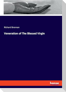 Veneration of The Blessed Virgin