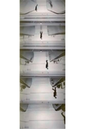 Peter Fischli. Addition, Subtraction, Multiplication